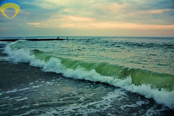 продажа многокомнатной квартиры номер A-174325 в Приморском районе, фото номер 7